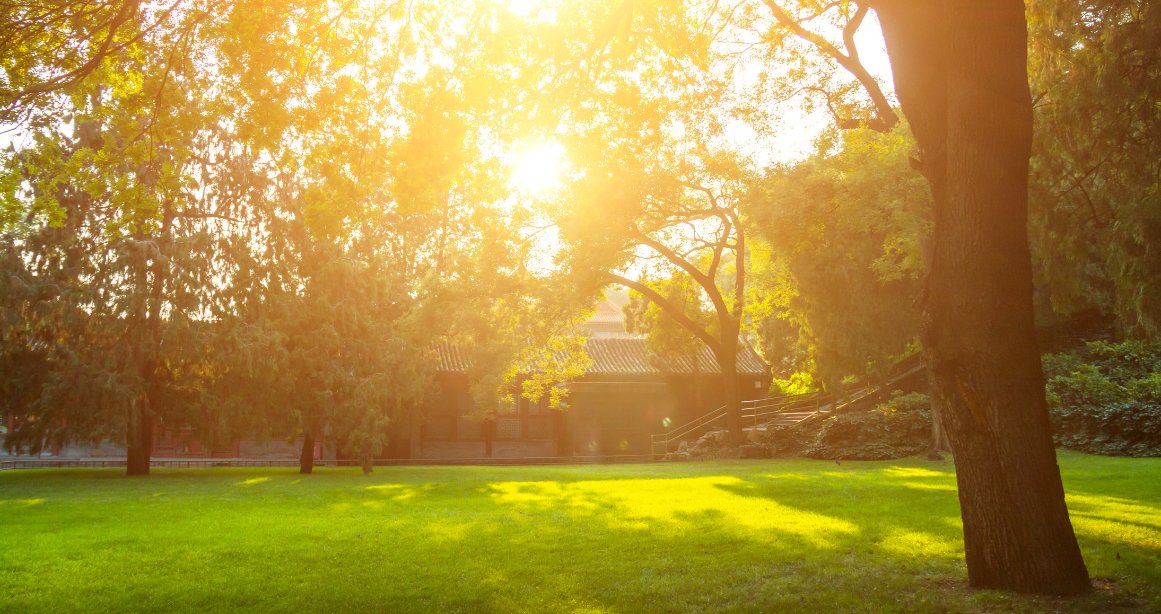 Gami-Terra-Amenities-Meditation-Area-Sanpada-Navi-Mumbai